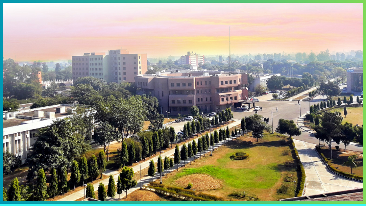 nit jalandher.jpg